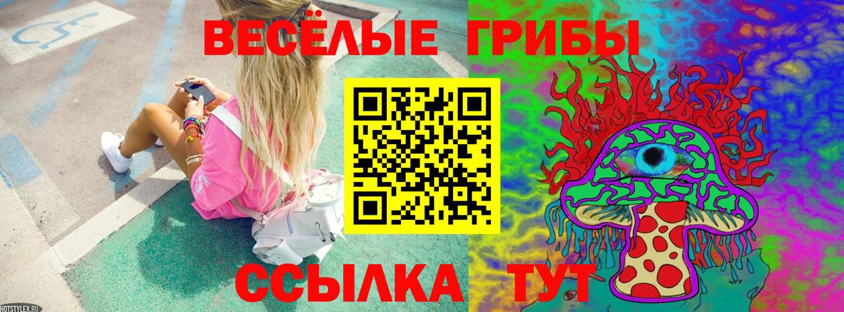 купить наркоту  Псилоцибиновые грибы Cubensis  Вход с VPN  Шебекино 